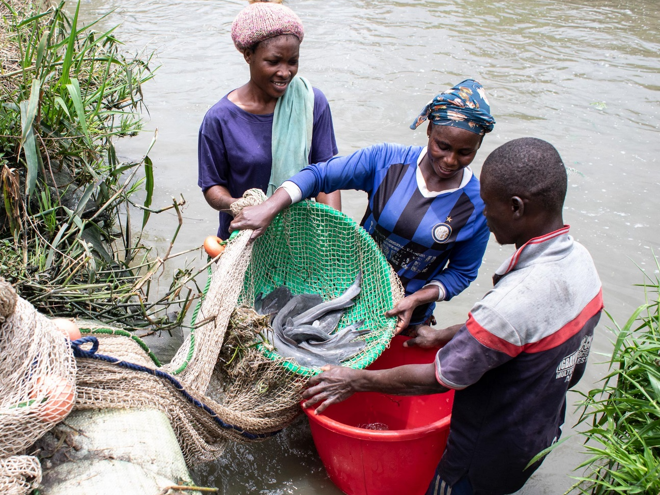Lagos reimagines farming in Ikorodu. Photo credit: FAO