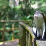 Apply for the 2026 Chief S.L. Edu Ph.D. Research Grant 3 Chief S.L. Edu Ph.D. Research Grant. Image credit: sourced from web