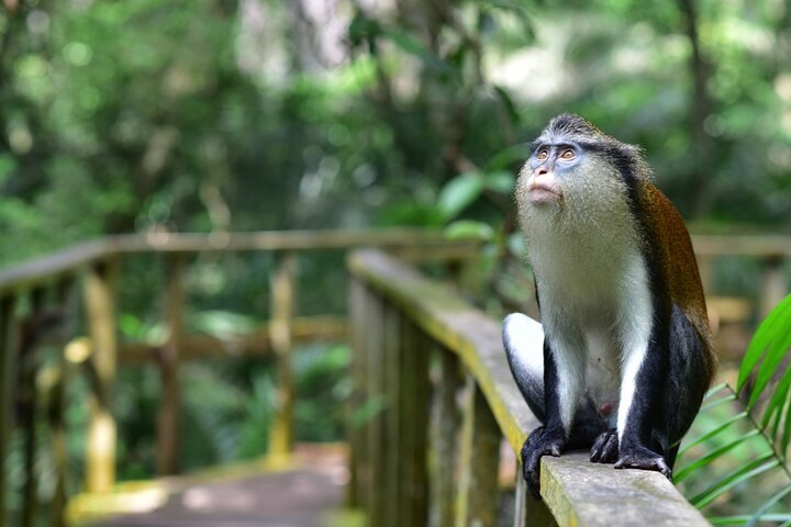 Chief S.L. Edu Ph.D. Research Grant. Image credit: sourced from web