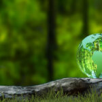 Apply for the 2025 Sustainability Award 2 Sustainability awards