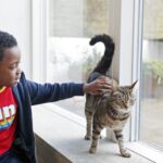 Human-animal interaction. Credit: Waltham Petcare Science Institute