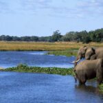 $20,000 grants for Africa's biodiversity champions 3 $20,000 grants for Africa's biodiversity champions