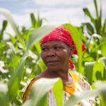 Women farmers lead Nigeria's agricultural renewal 3 Women farmers lead Nigeria's agricultural renewal.