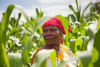 Women farmers lead Nigeria's agricultural renewal.