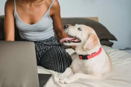 HABRI opens 2026 research grants on the human–animal bond