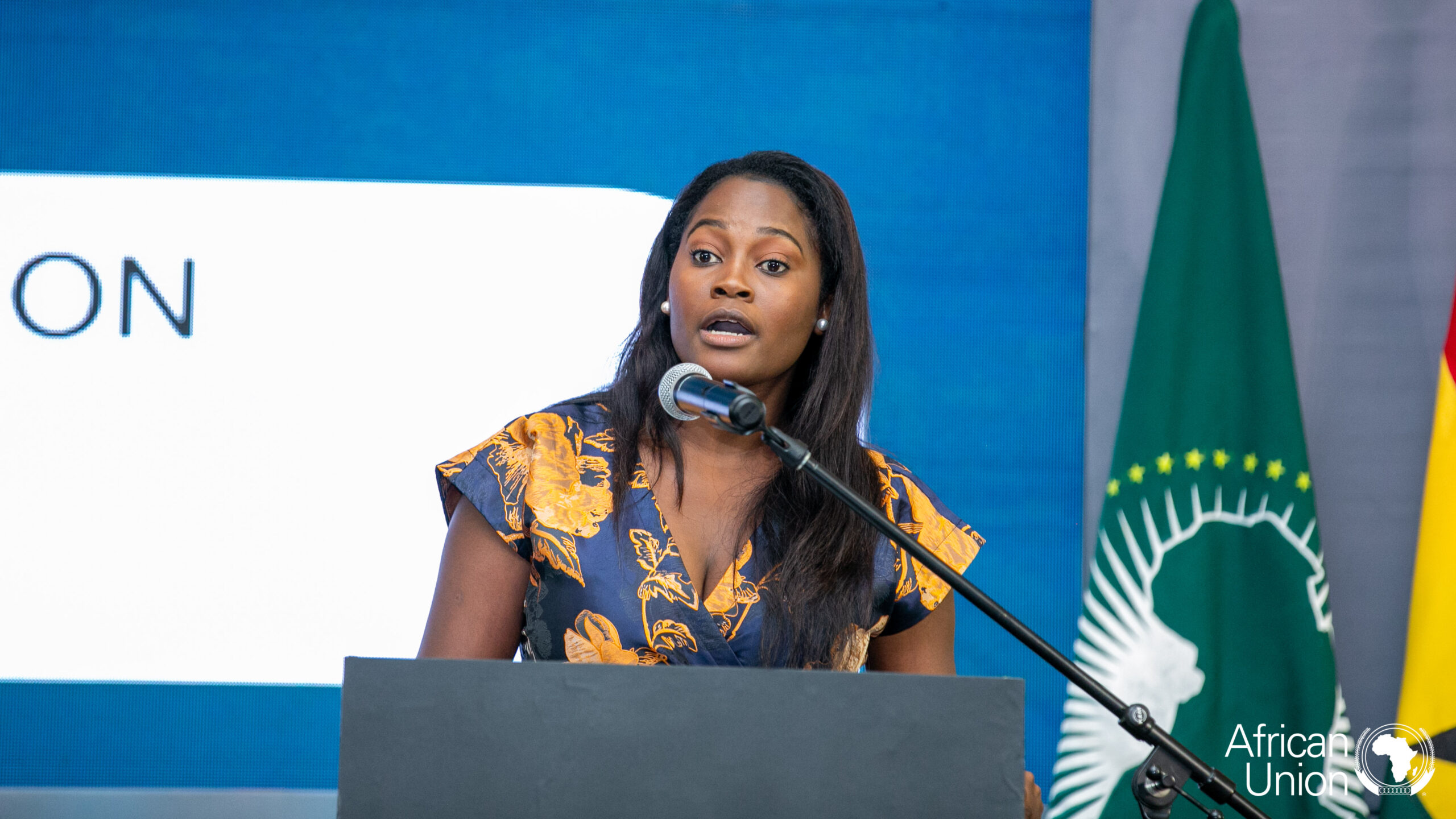 AU's Youth Ambassadors for Peace programme.