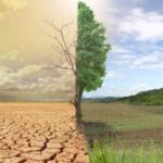 The African Group of Negotiators Expert Support (AGNES)