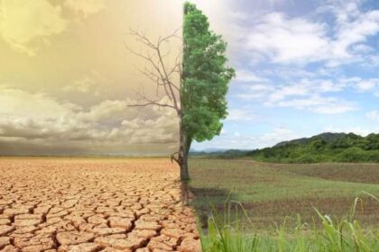 The African Group of Negotiators Expert Support (AGNES)