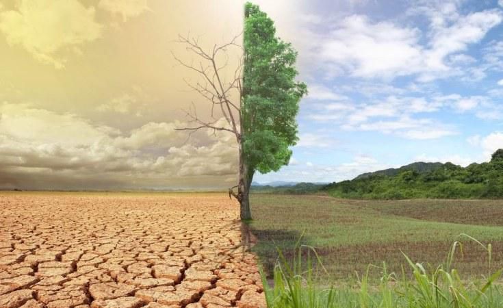 The African Group of Negotiators Expert Support (AGNES)