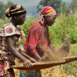 Women farmers in Nigeria