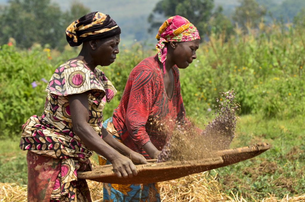 Women farmers in Nigeria