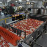 An agro-processing centre in Lagos. Credit: web image