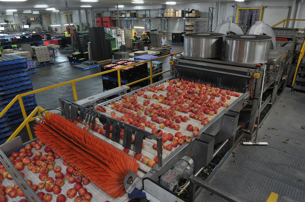 An agro-processing centre in Lagos. Credit: web image