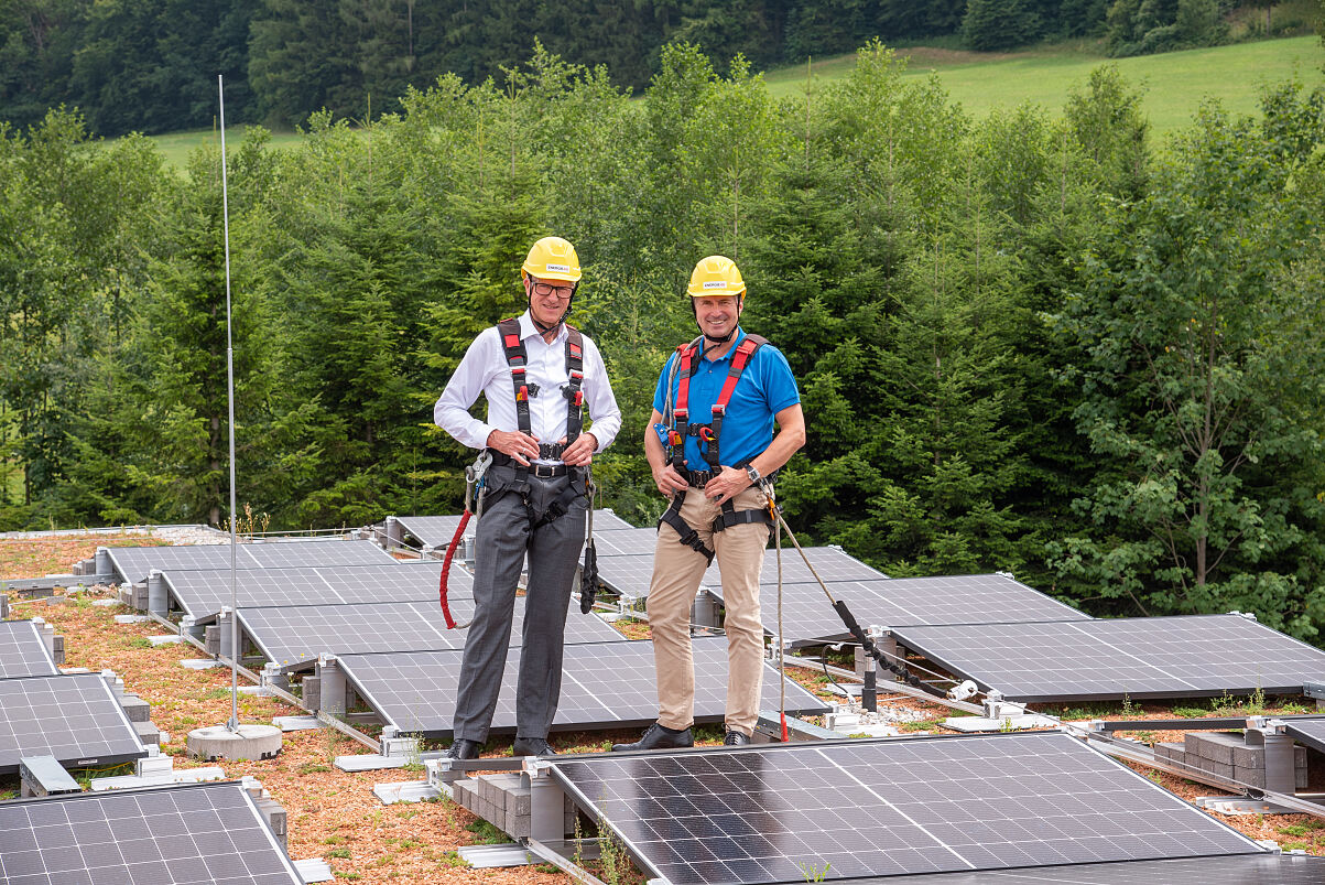 €50K AI challenge to power smarter energy use for SMEs