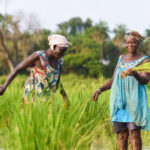 Foundation S Commitment Climate Banner