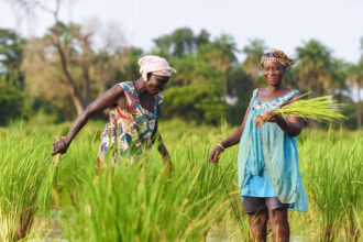 Foundation S Commitment Climate Banner