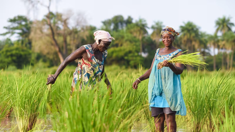 Foundation S Commitment Climate Banner