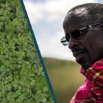 IKI small grants for grassroots climate and biodiversity solutions