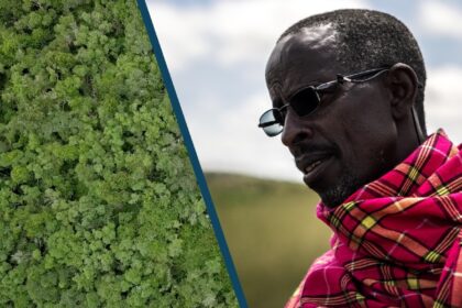 IKI small grants for grassroots climate and biodiversity solutions