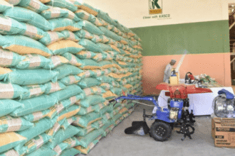 Kano's KASCO offers a fiscal blueprint for Nigeria.