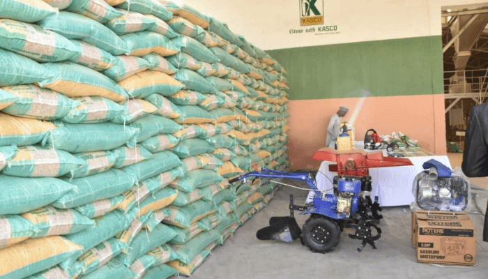 Kano's KASCO offers a fiscal blueprint for Nigeria.