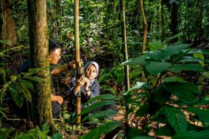 MBZ Conservation Fund