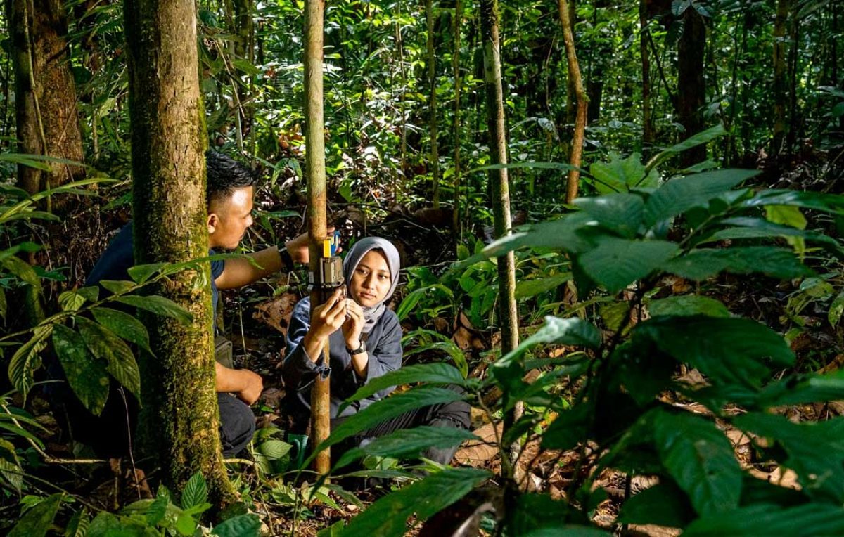 MBZ Conservation Fund