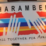 Harambee Africa's award for inspiring African stories. Credit: harambeeusa.org