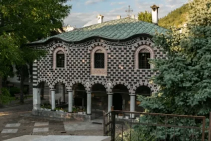 CAS Sofia's Social Relevance of the Humanities Fellowship.