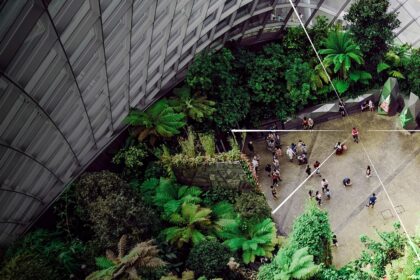 Photograph: Courtesy of Sustainability Open Innovation Challenge