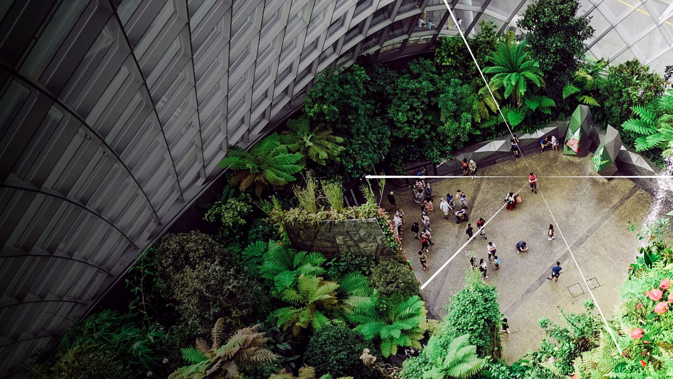 Photograph: Courtesy of Sustainability Open Innovation Challenge