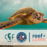 Credit: Conservation Finance Innovation Program