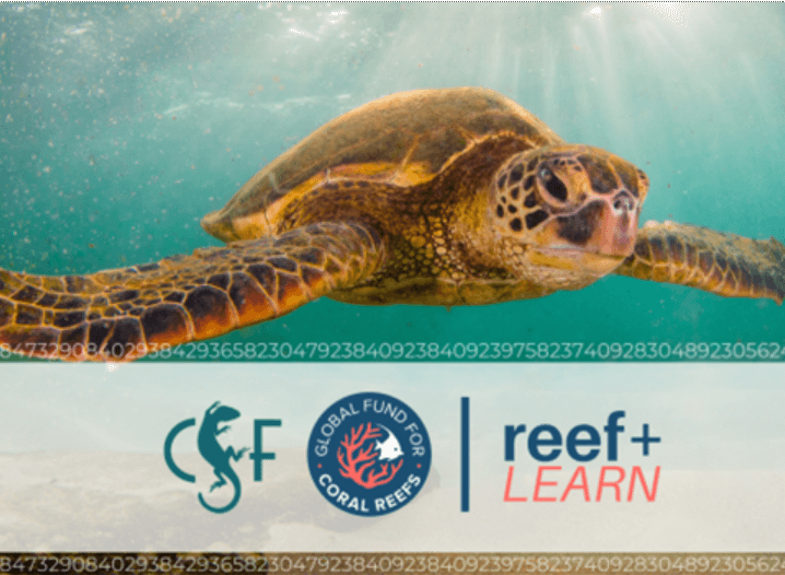 Credit: Conservation Finance Innovation Program