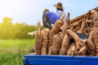 A new national scheme targets inequality in agriculture