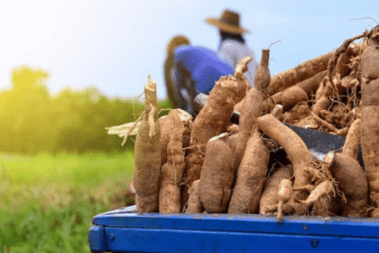 A new national scheme targets inequality in agriculture