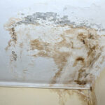 A damp white ceiling. Image: sourced from web