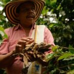 Mercy Corps Ventures seeks innovators using AI and blockchain for financial access