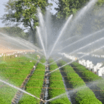Nigeria's push for smarter irrigation.