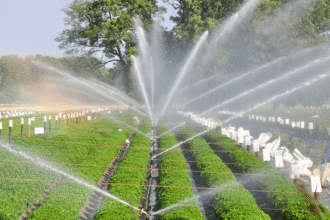 Nigeria's push for smarter irrigation.