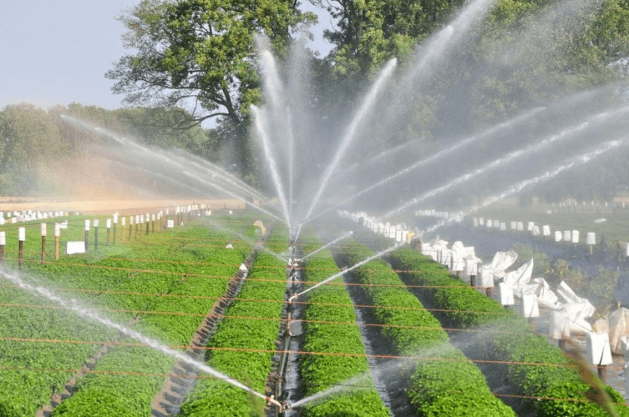 Nigeria's push for smarter irrigation.