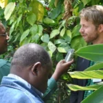 Knight Science Journalism Fellowship. Image: Flickr