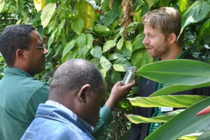 Knight Science Journalism Fellowship. Image: Flickr