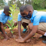 Eco-Hero Awards open for entries