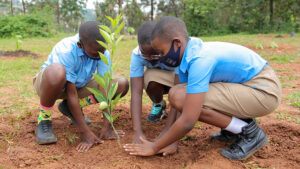 Eco-Hero Awards open for entries