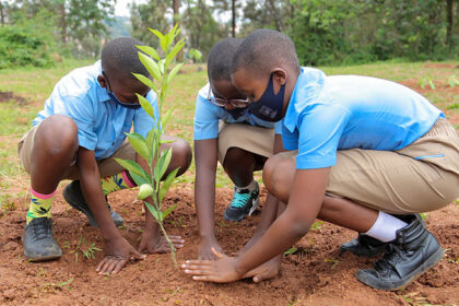 Eco-Hero Awards open for entries