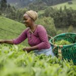 2026 SNAPP grants now open