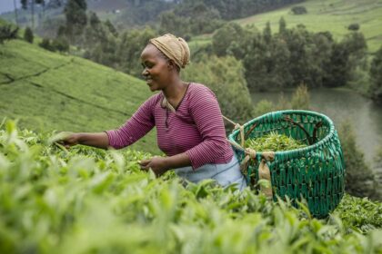 2026 SNAPP grants now open