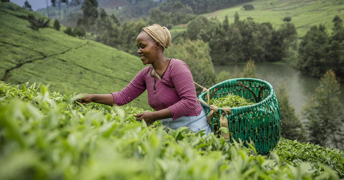 2026 SNAPP grants now open