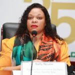 "Fear is not part of my DNA": An advocate's long walk to power in southern Africa