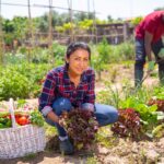 This photo is used to illustrate the large research grant for economic growth. Credit: STEG